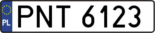 PNT6123