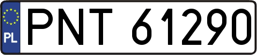 PNT61290