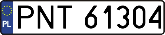 PNT61304