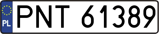 PNT61389