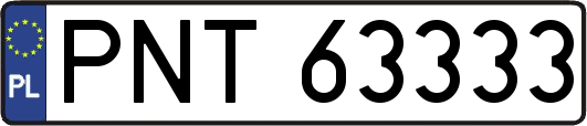 PNT63333