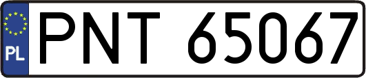 PNT65067