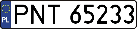 PNT65233