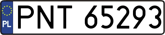 PNT65293