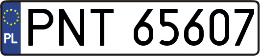 PNT65607