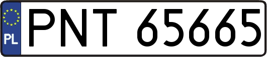 PNT65665