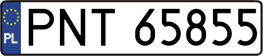 PNT65855