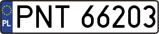 PNT66203