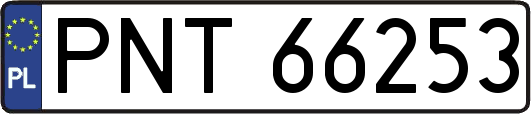 PNT66253