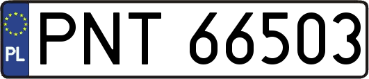 PNT66503