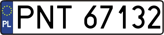 PNT67132