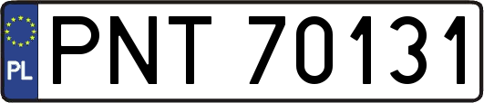 PNT70131