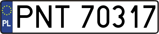 PNT70317