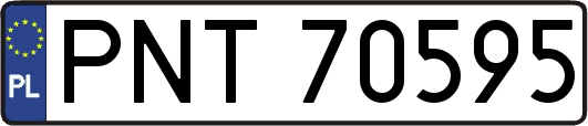 PNT70595