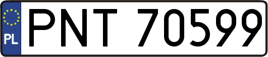 PNT70599