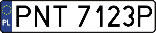 PNT7123P