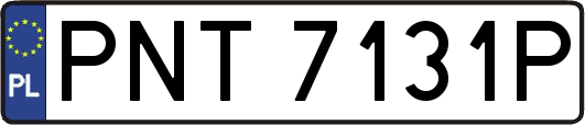 PNT7131P