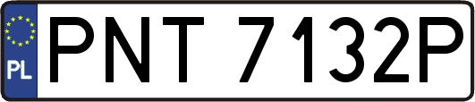 PNT7132P