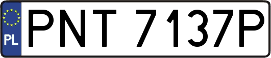 PNT7137P