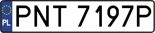 PNT7197P
