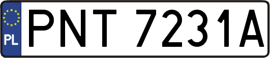 PNT7231A