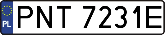 PNT7231E