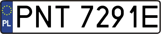 PNT7291E