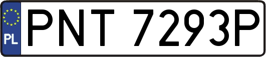 PNT7293P