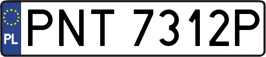 PNT7312P