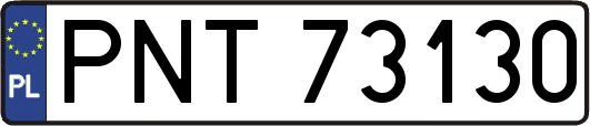 PNT73130