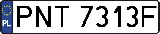 PNT7313F
