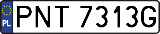 PNT7313G
