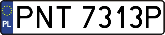 PNT7313P