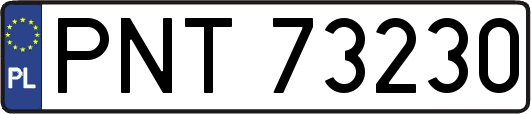 PNT73230