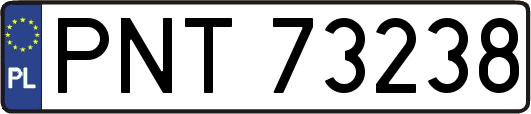 PNT73238