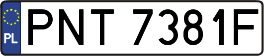 PNT7381F