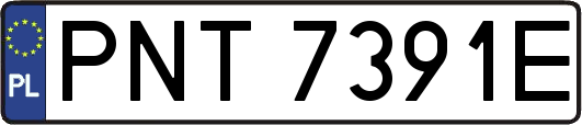 PNT7391E