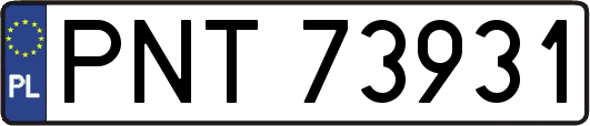 PNT73931