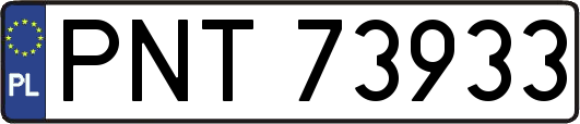 PNT73933