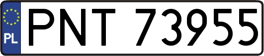 PNT73955