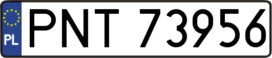 PNT73956