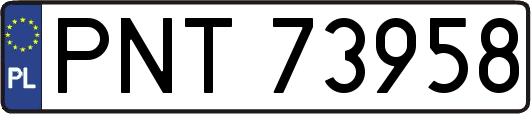 PNT73958