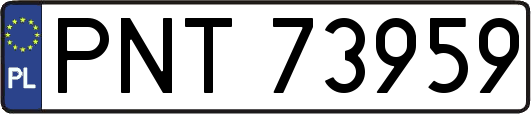 PNT73959
