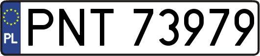 PNT73979