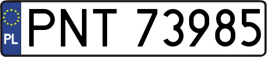 PNT73985