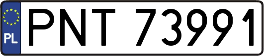 PNT73991