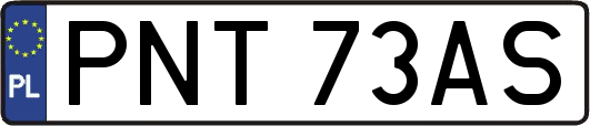 PNT73AS