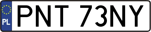 PNT73NY