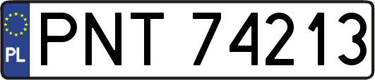 PNT74213