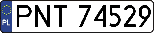 PNT74529